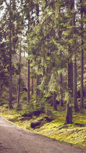 冒险岛风灵使者截图1