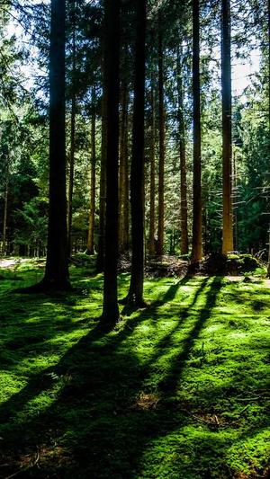 冒险岛5转截图2