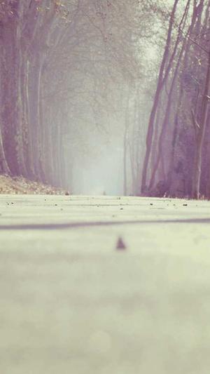 冒险岛黑暗天堂攻略截图4