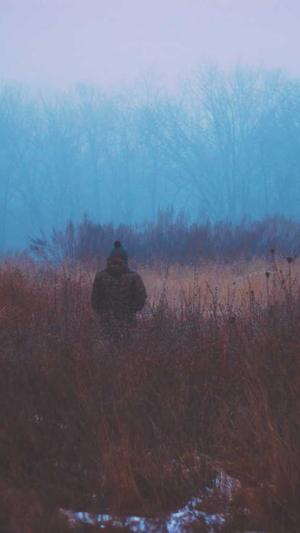 冒险岛私服网截图4