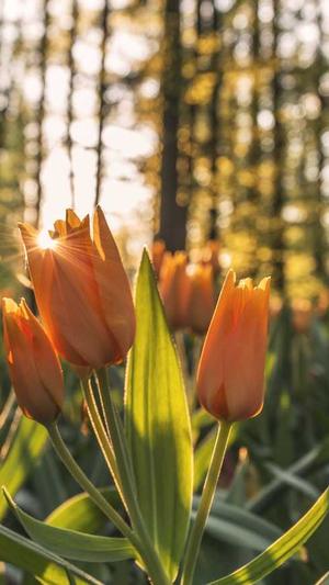 dnf角色恢复截图4