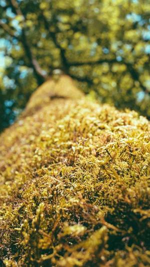 dnf弹药刷图加点截图5