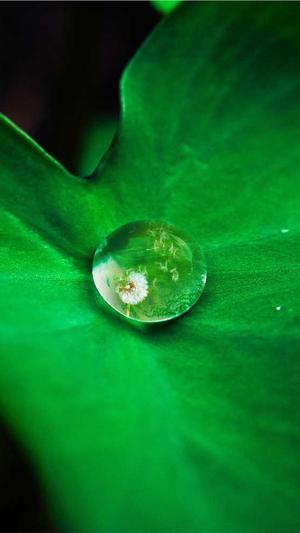 冒险岛任务截图2