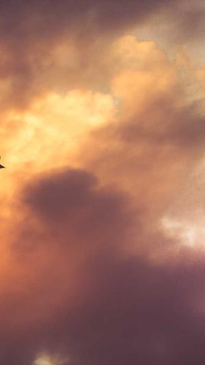 dnf男弹药加点截图3