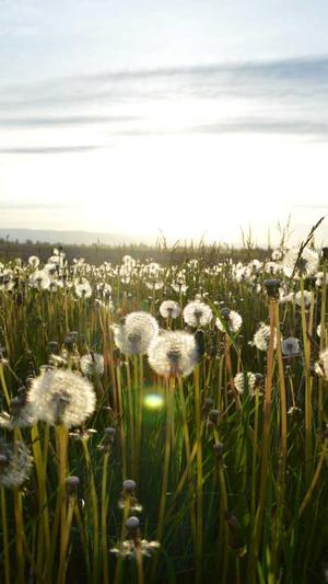 冒险岛5转截图3