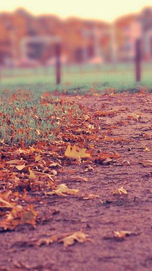 夜生活女王之霞姐传奇截图1