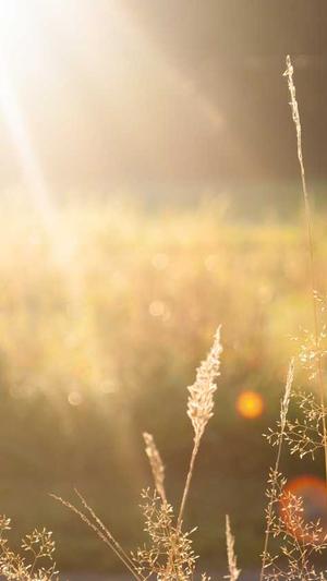 冒险岛 wiki截图5