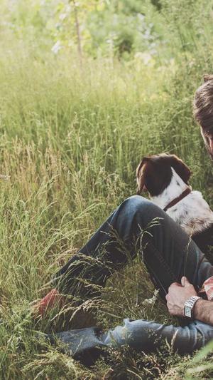 热血传奇sf发布截图3