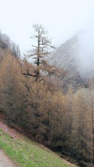 游戏冒险岛截图5