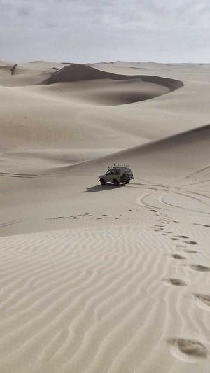 梦幻西游手游私服网站截图1