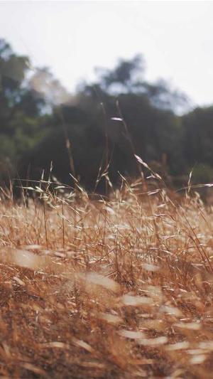 dnf次元行者截图5