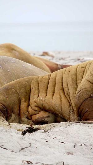 dnf进化之光截图4