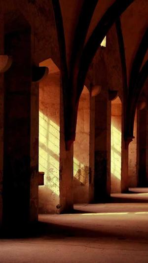 新传奇私服截图1