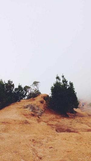 冒险岛怪物掉落物品大全截图3