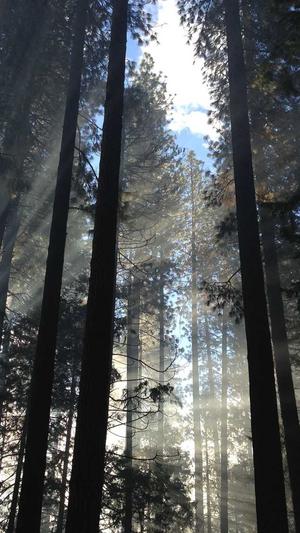 海尔阿里云 wpk截图1