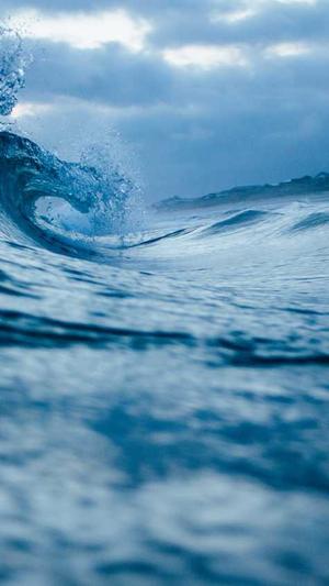 夜生活女王之霞姐传奇截图5