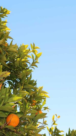 冒险岛游侠辅助官网截图2