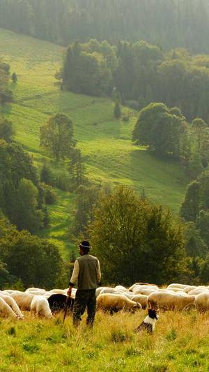 冒险岛奇袭者加点截图1