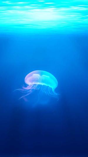 传奇类网页游戏截图2