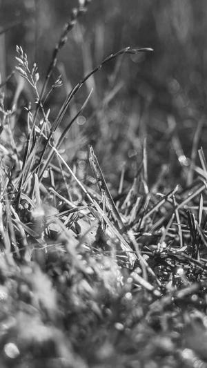 传奇sf1.85战神版截图2