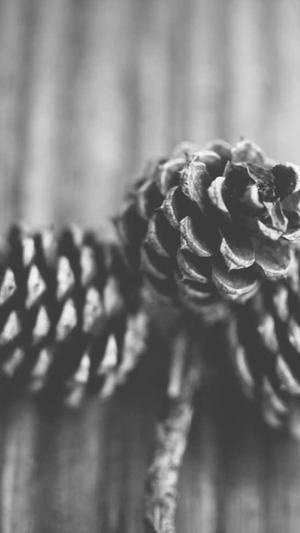 少林寺传奇之十三棍僧截图3