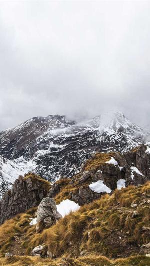 海底凤凰传奇截图2