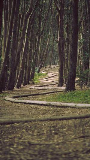 冒险岛集合之戒截图3