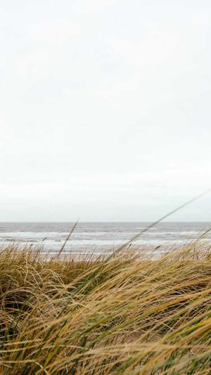 冒险岛夜行者技能截图1