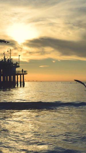 冒险岛宠物截图5