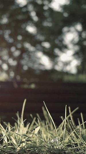 神医喜来乐传奇截图2