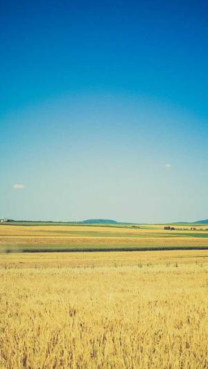 武媚娘传奇演员截图2