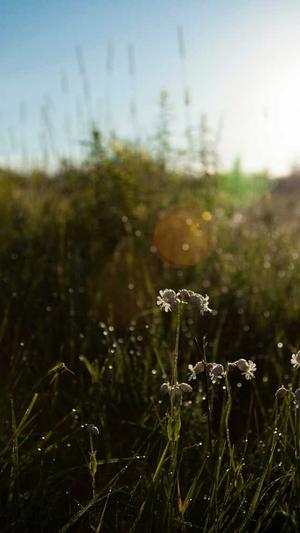 英雄联盟之传奇归来截图2