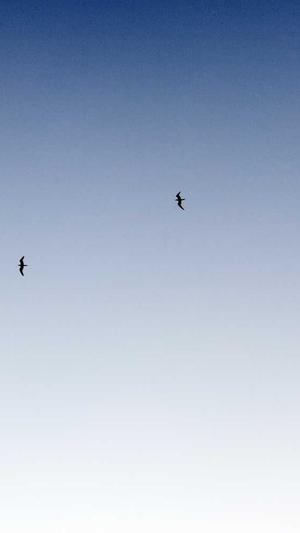 热血传奇老客户端截图5