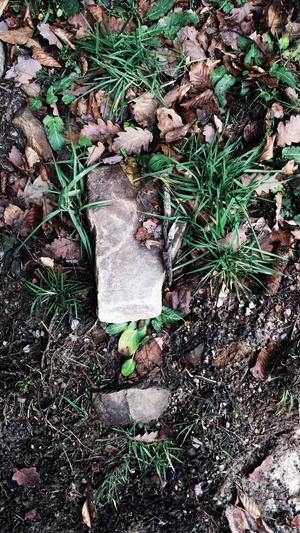 冒险岛挂机截图5