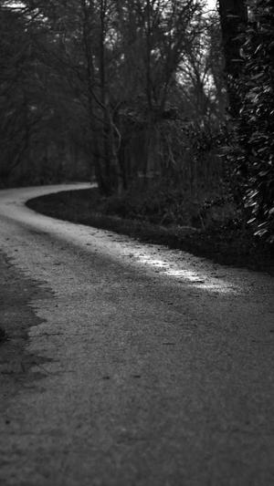 冒险岛名字空格符号截图4