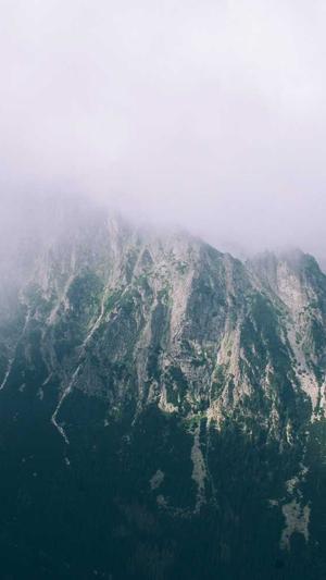 冒险岛十字猎人任务流程截图1