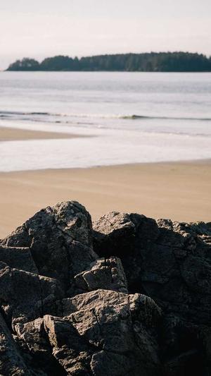 冒险岛拉拉截图4