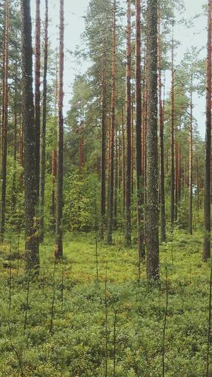 冒险岛黑暗天堂攻略截图5