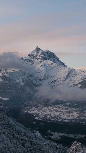 传奇世界私服发布站截图3