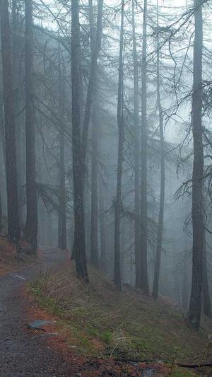 冒险岛4转任务流程截图1