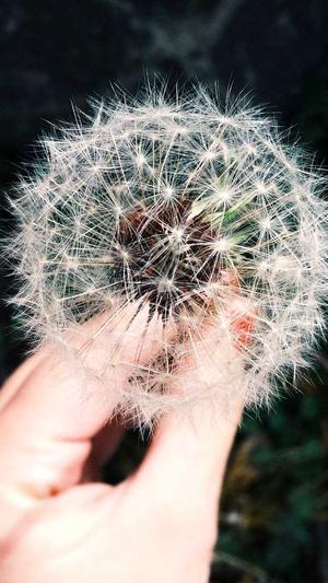 dnf格斗家转什么职业好截图2