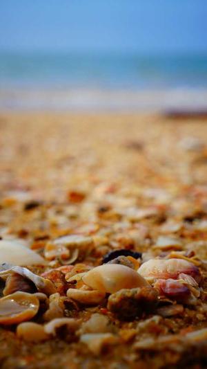 冒险岛私服网截图2