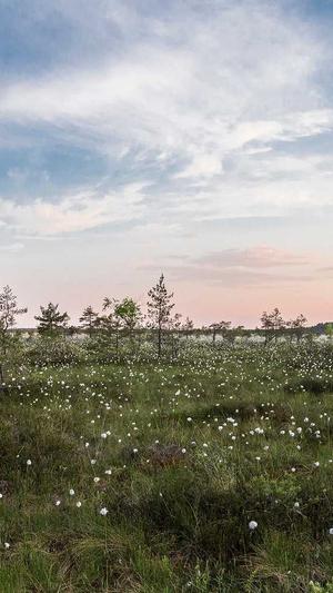 高桥名人的冒险岛4截图2