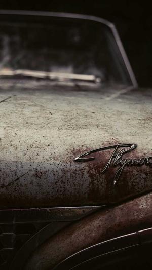 冒险岛金花截图2