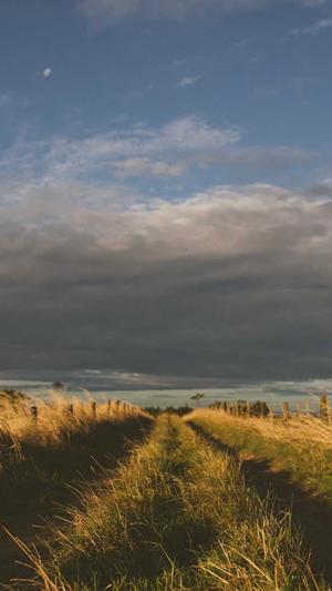 冒险岛十字猎人任务流程截图3