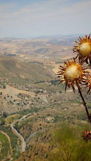 新开热血传奇私服截图3