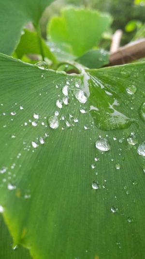 传奇私服被抓截图3