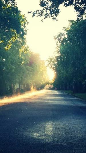 dnf副职业哪个最赚钱截图1