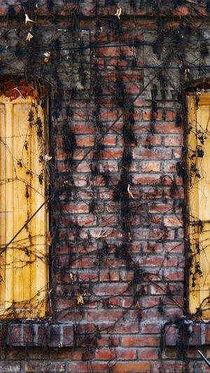 dnf电脑管家活动截图5