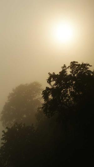 仿传奇网页截图1